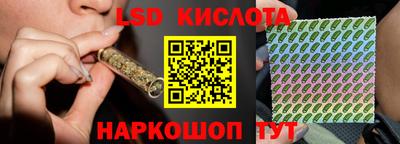 дмт Камышлов
