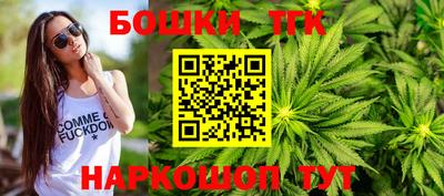 дмт Камышлов