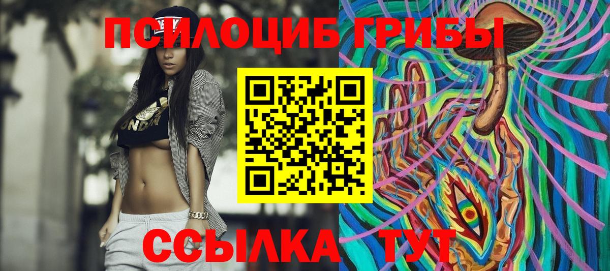Псилоцибиновые грибы Psilocybe Шали