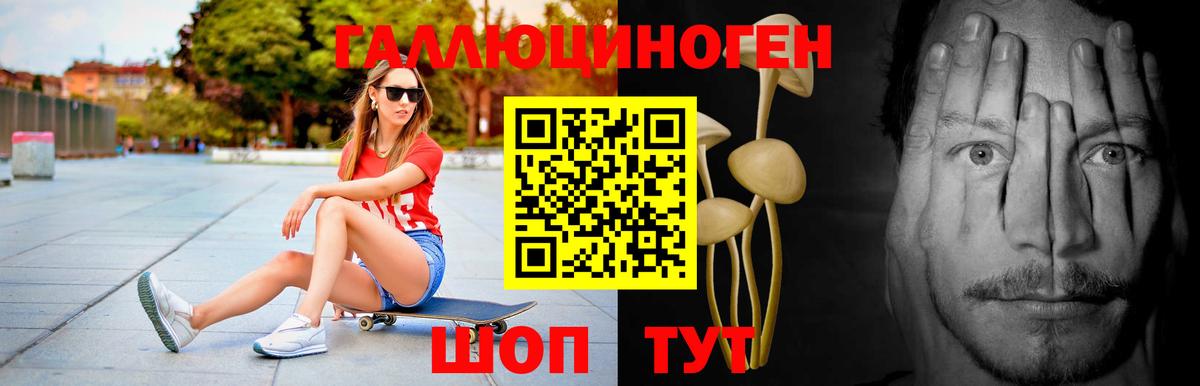 Псилоцибиновые грибы Psilocybe  Вход с VPN  Галлюциногенные грибы мицелий  Шали 